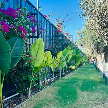 Flu Alaçatı Tiny House Hotel *