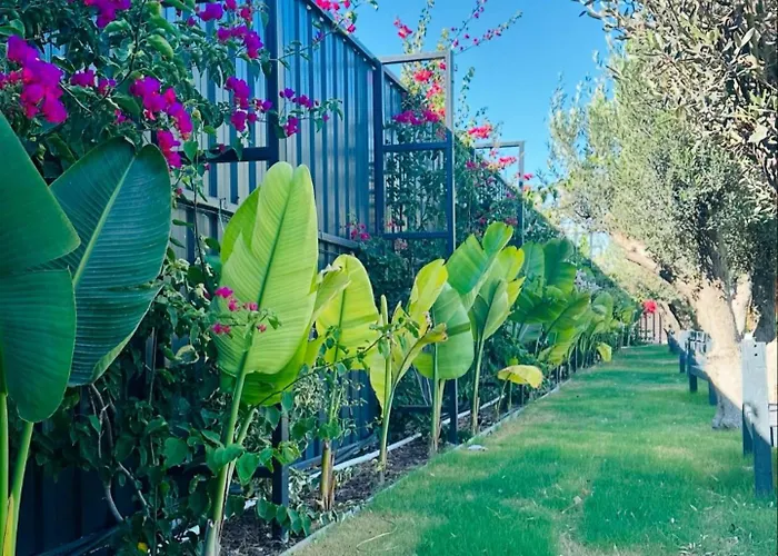 Flu Alacati Tiny House Отель *